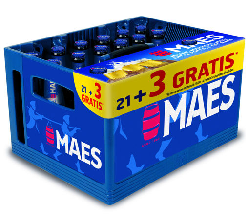 Maes 21+3